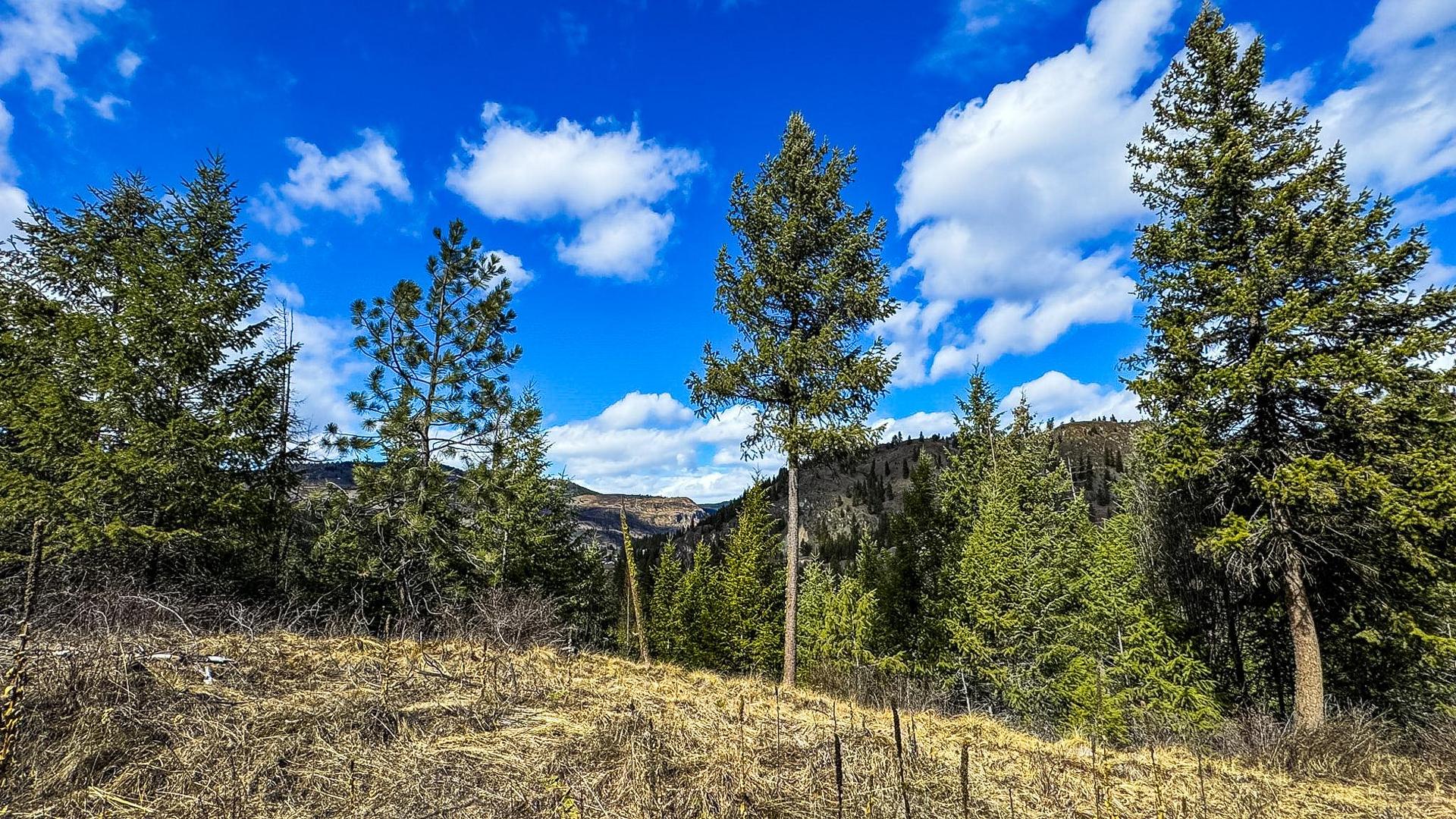 









DL 862


3

Highway,
Rock Creek,







BC
V0H 1Y0

