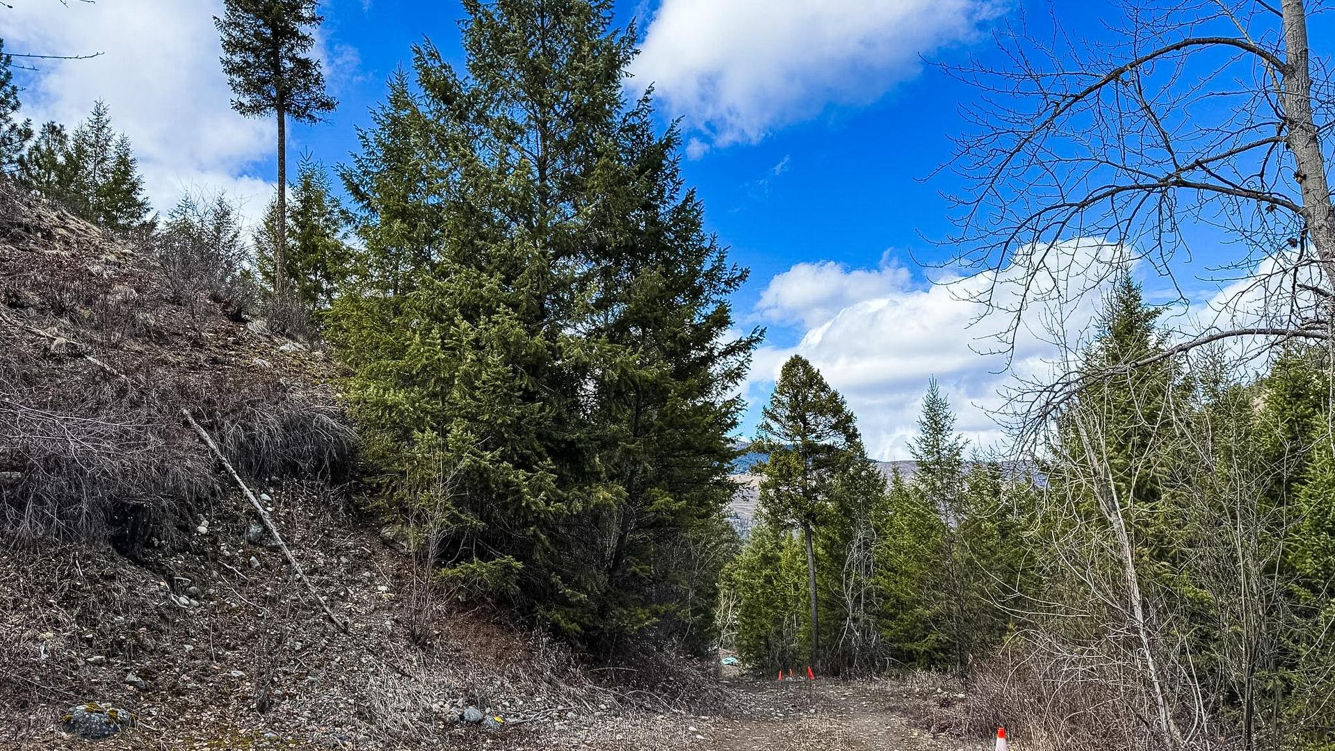 









DL 862


3

Highway,
Rock Creek,







BC
V0H 1Y0

