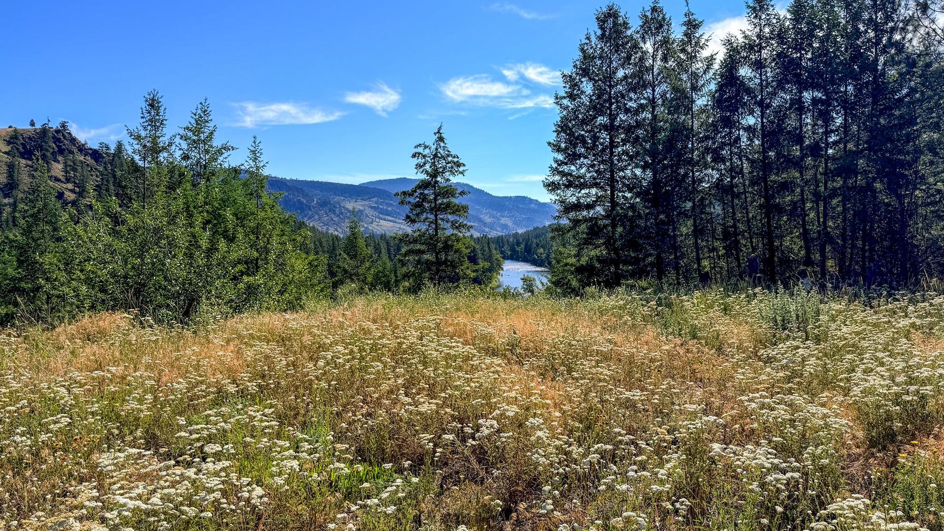 









DL 862


3

Highway,
Rock Creek,







BC
V0H 1Y0

