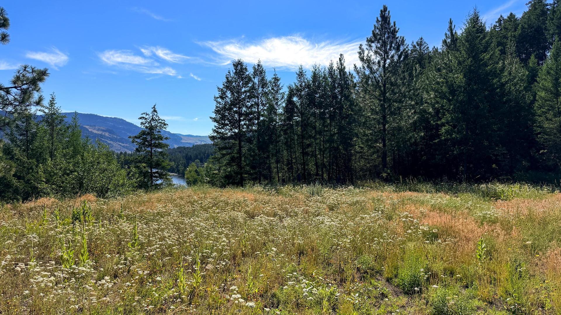 









DL 862


3

Highway,
Rock Creek,







BC
V0H 1Y0

