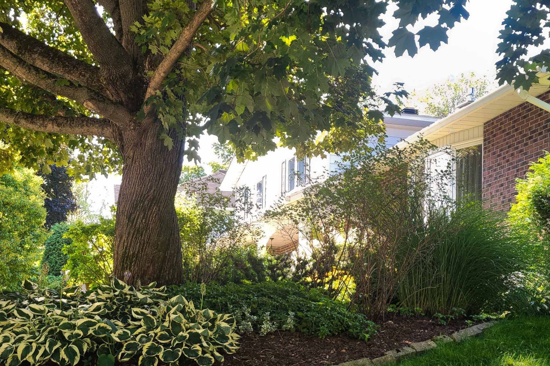 









975


Rue Argyll

,
Sherbrooke (Les Nations),




QC
J1J3J6

