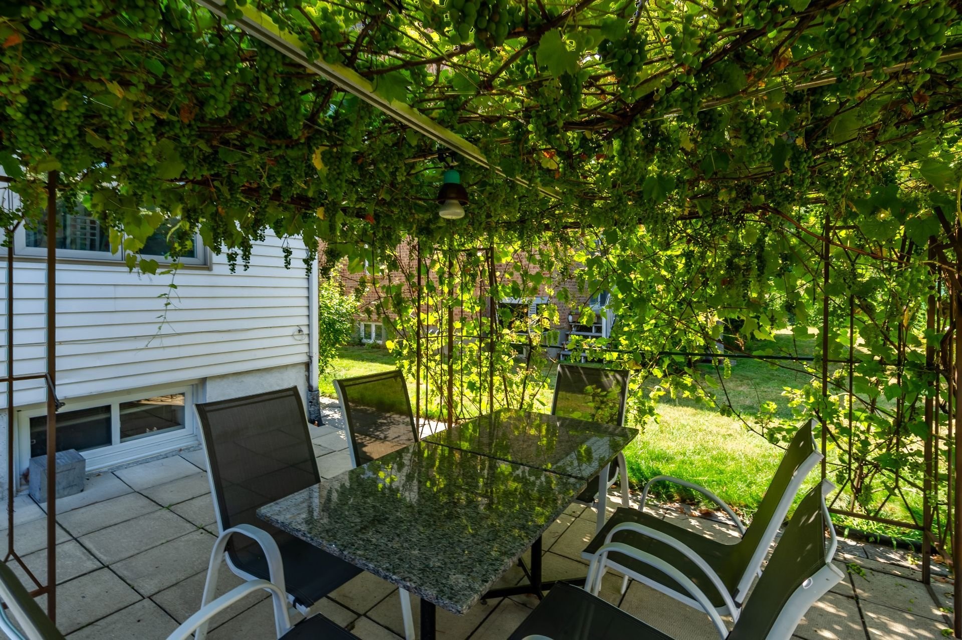 









1620


Crois. Rousseau

,
Brossard,




QC
J4X1S7

