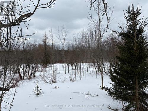 View on E Garafraxa Townline