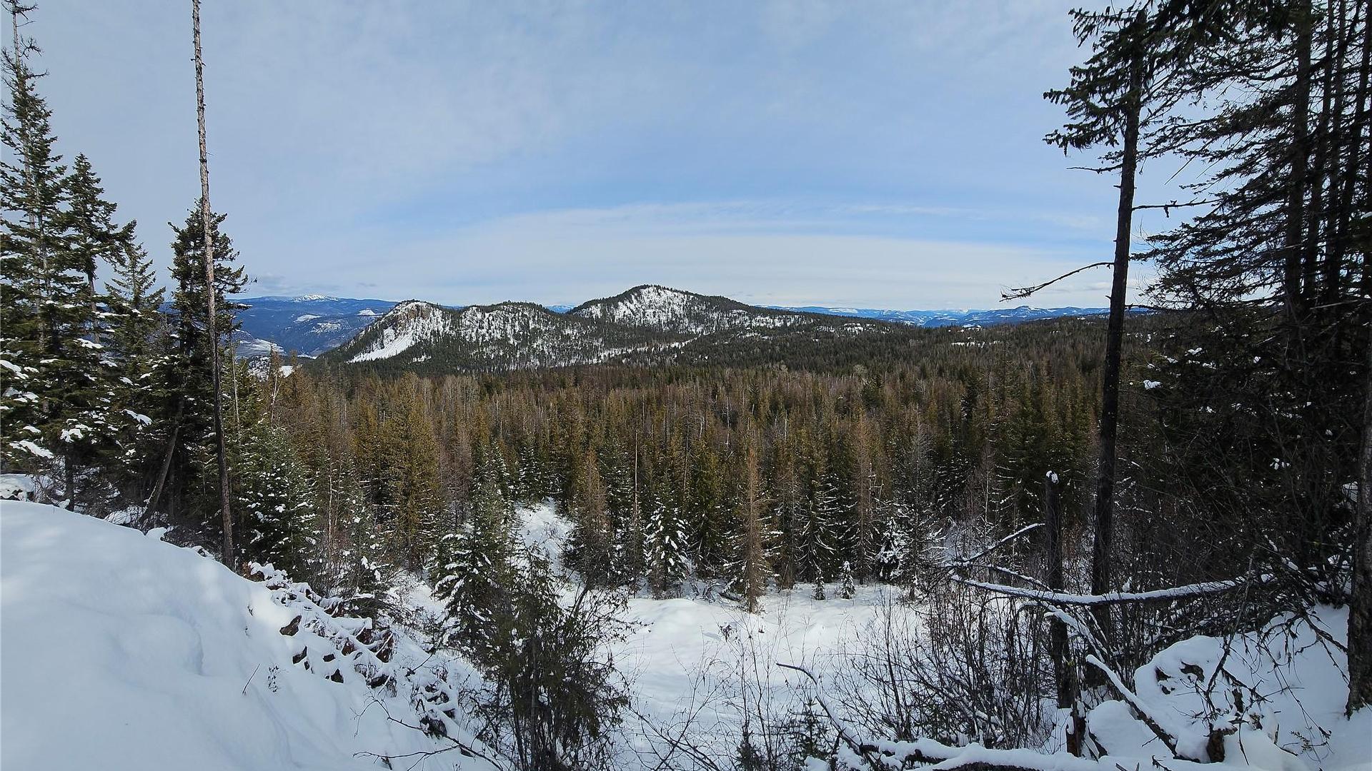 









650


Bluenose

Road,
Vernon,




BC
V1B 3E7

