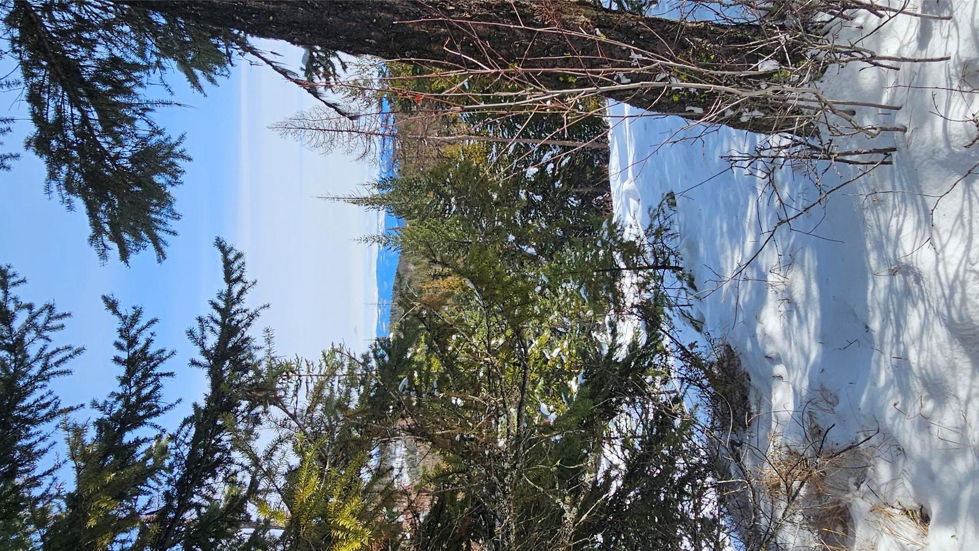 









650


Bluenose

Road,
Vernon,




BC
V1B 3E7

