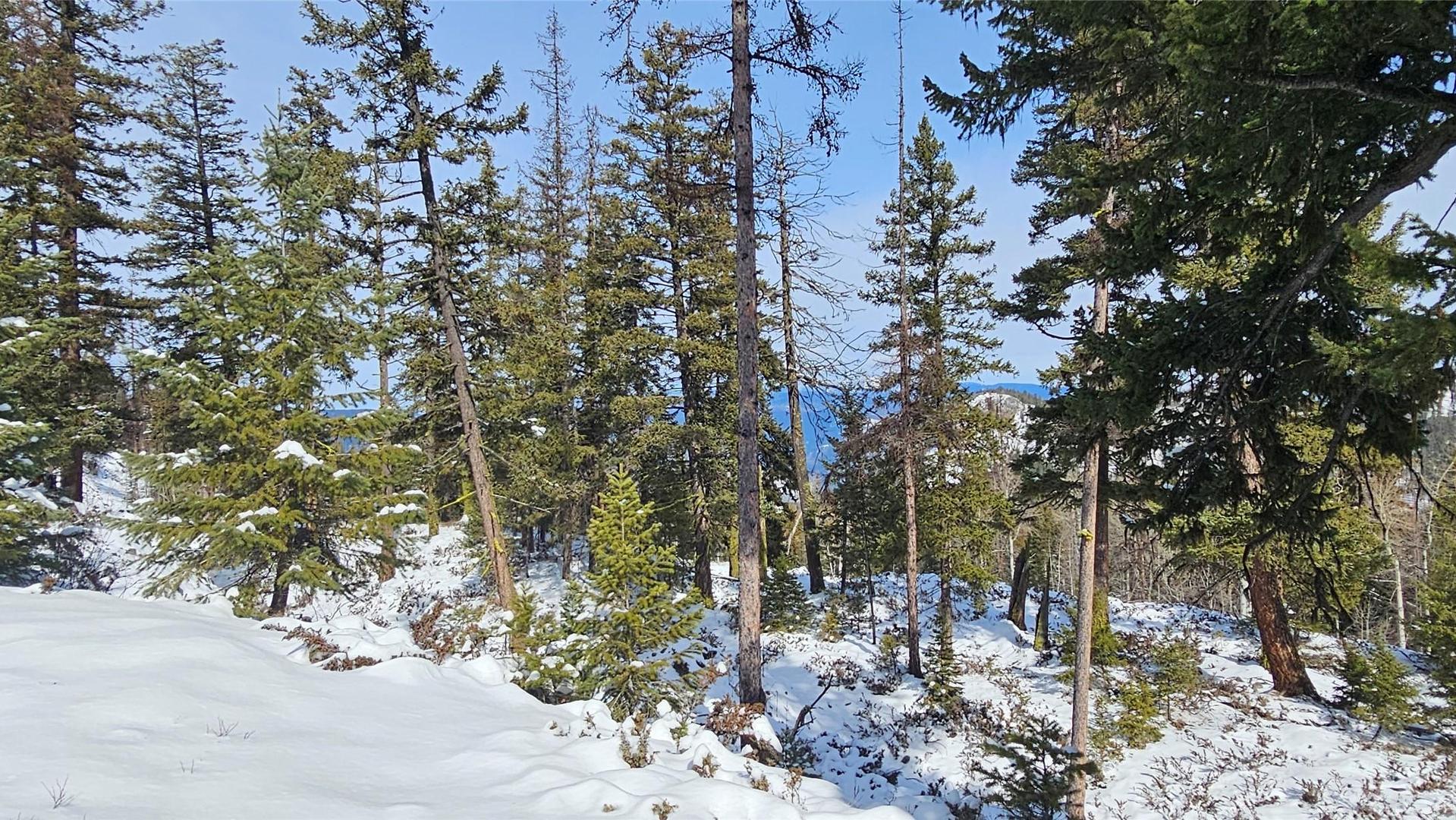 









650


Bluenose

Road,
Vernon,




BC
V1B 3E7

