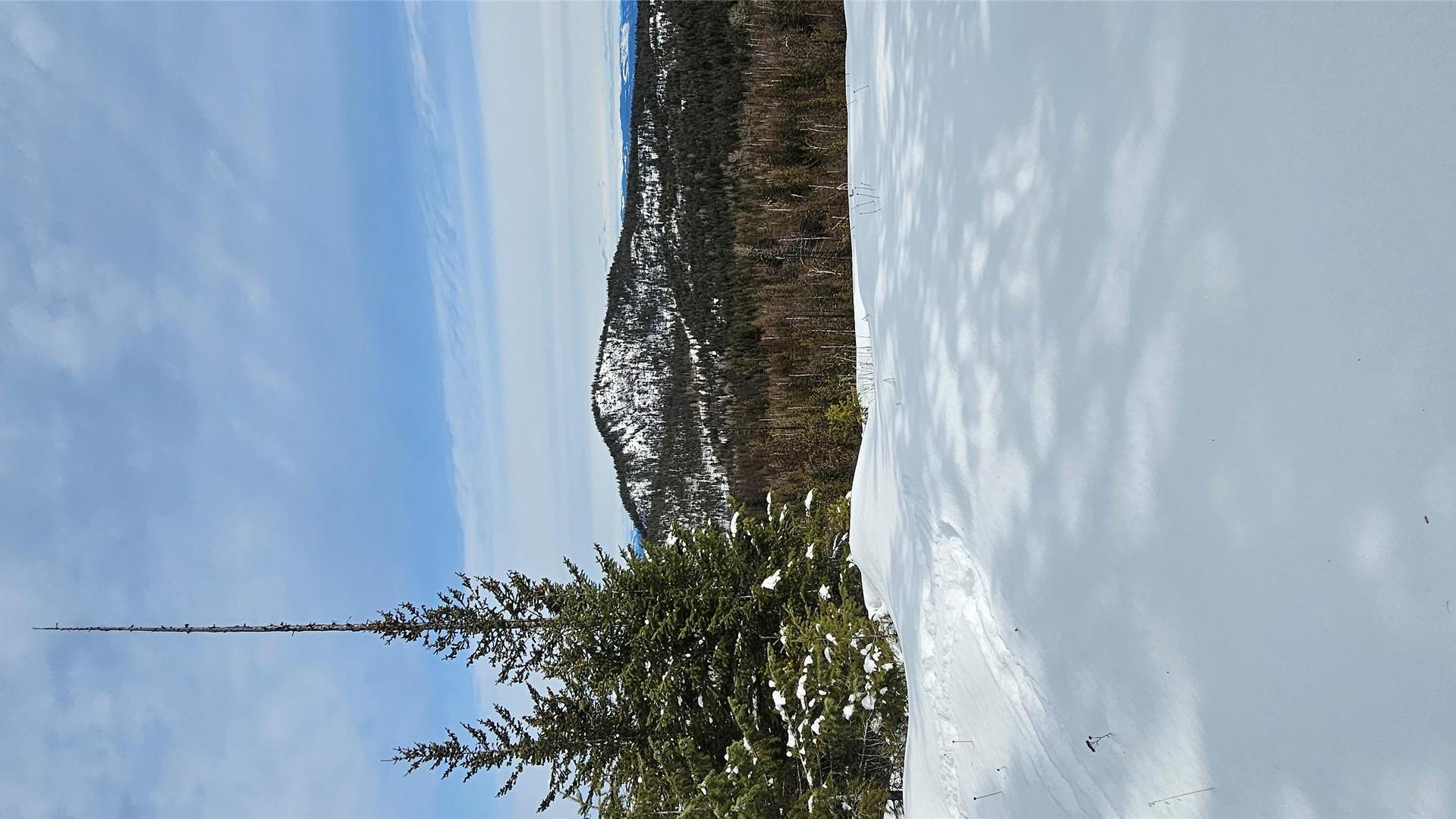 









650


Bluenose

Road,
Vernon,




BC
V1B 3E7

