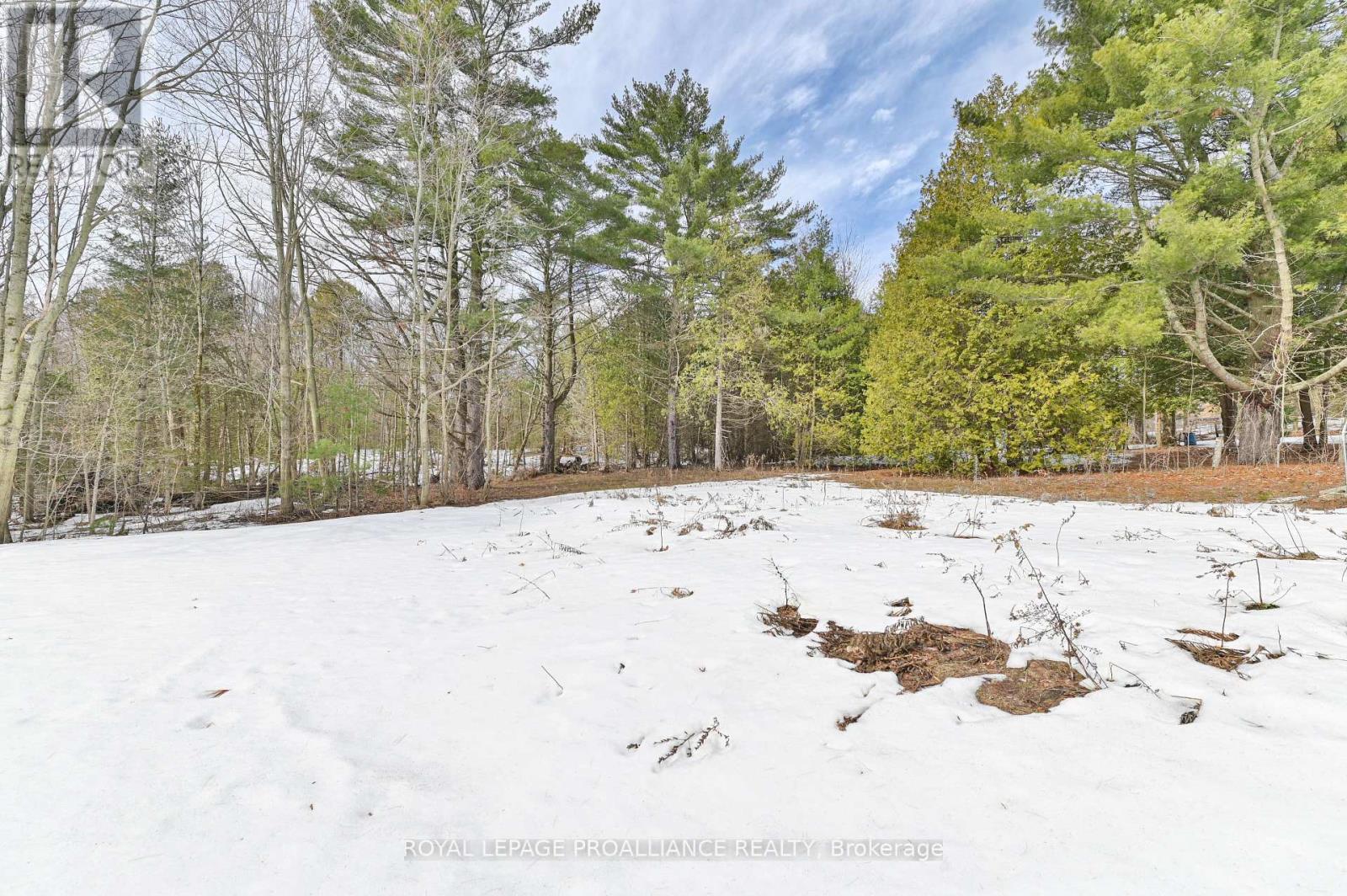 












206 FIDDICK ROAD

,
Cramahe,




Ontario
K0K1H0

