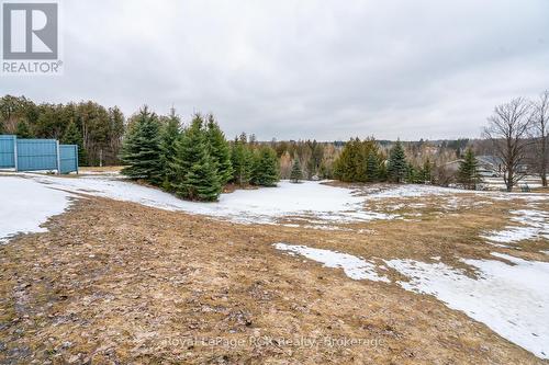 views of hills and trees