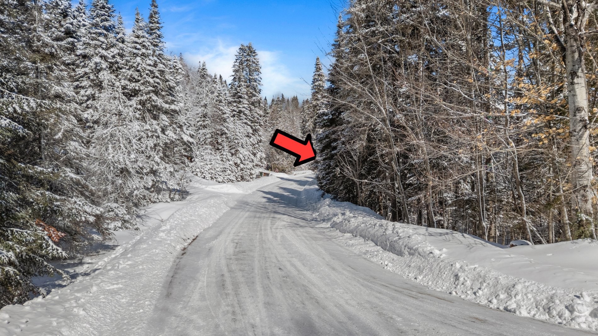 












Rue de la Lisonne

,
Sainte-Agathe-des-Monts,







QC
J8C0T0

