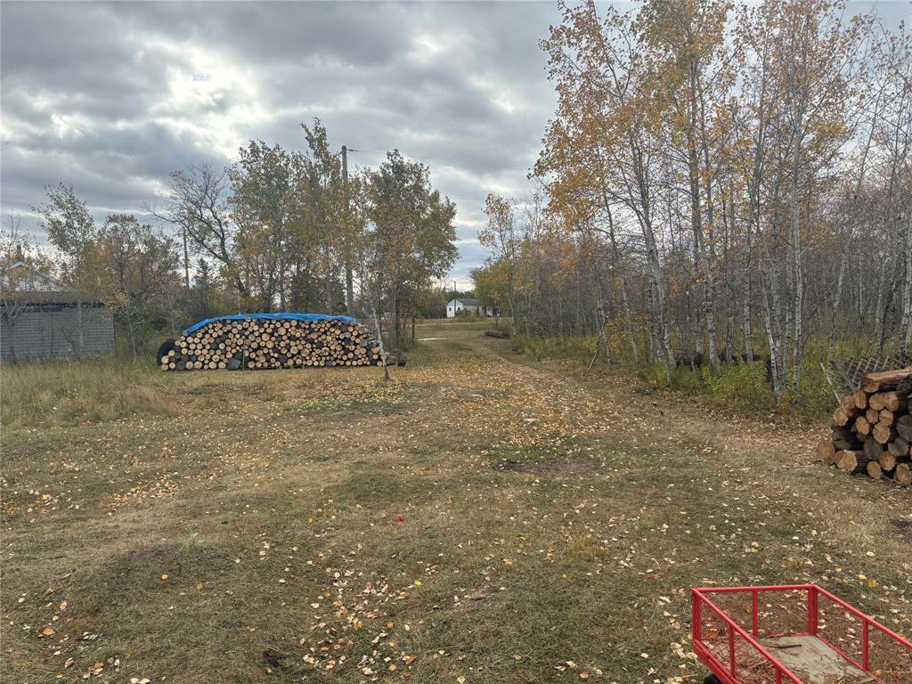 












0 419 Highway

,
Chatfield,







Manitoba
R0C1P0

