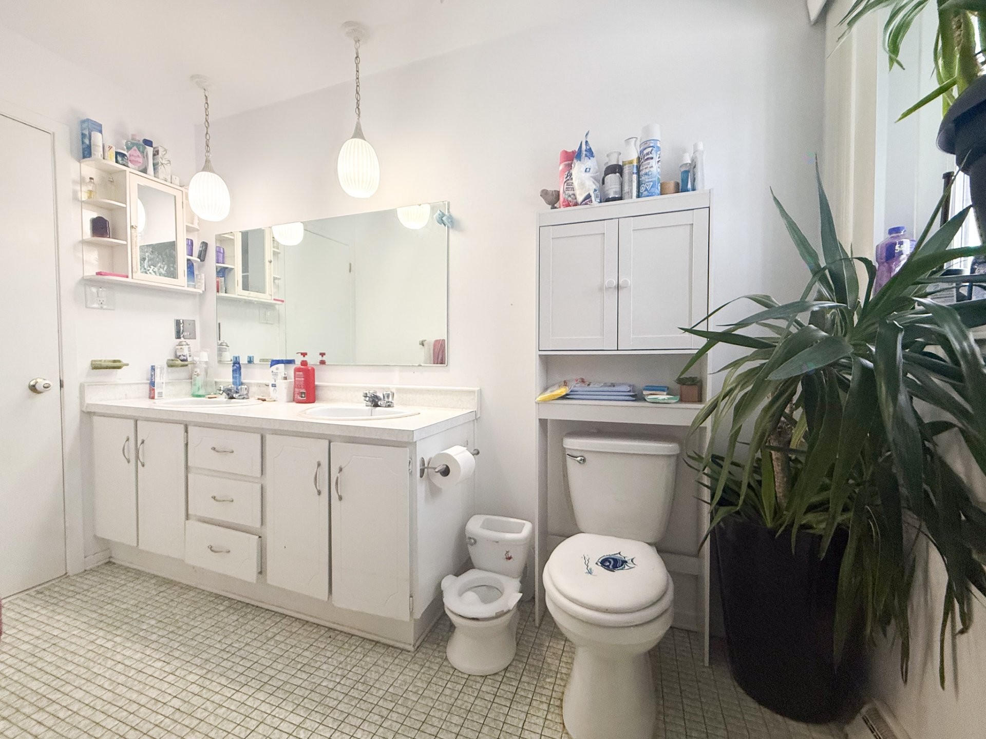 









49


Rue de Drapeau

,
Gatineau (Gatineau),




QC
J8T1B1

