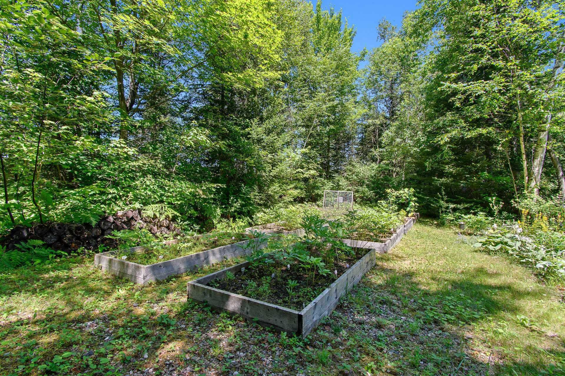 









78


Ch. Old Bridge

,
Otter Lake,




QC
J0X2P0

