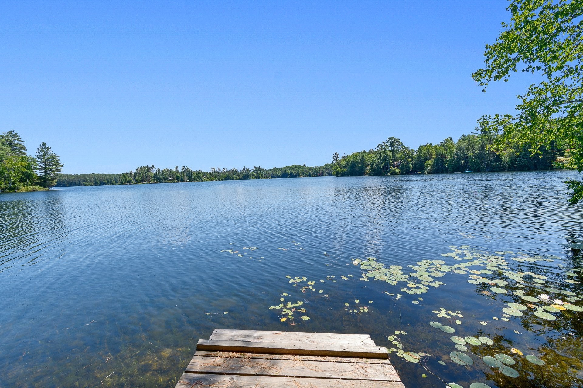









78


Ch. Old Bridge

,
Otter Lake,




QC
J0X2P0

