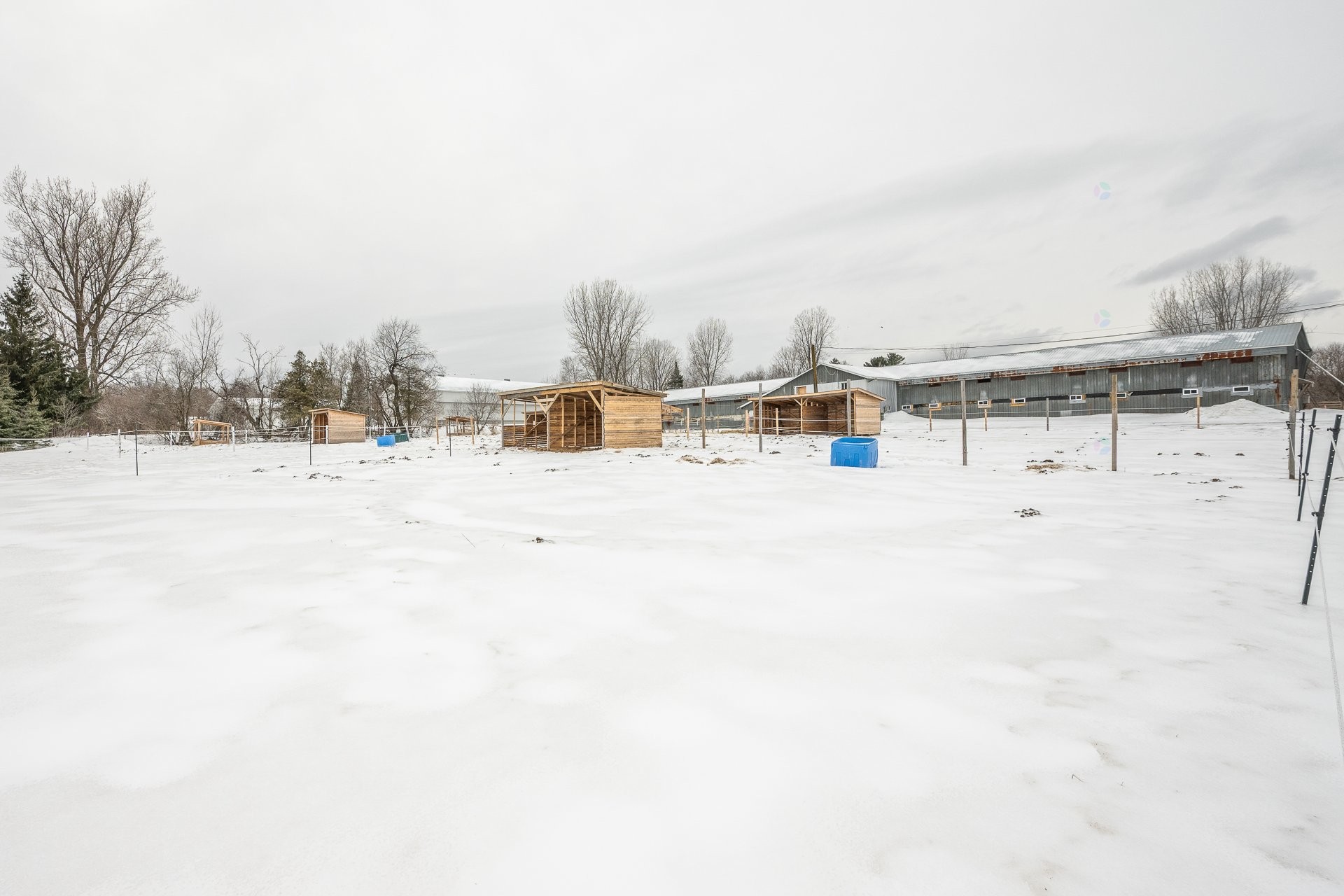 









2402


2e Rue

,
Sainte-Sophie,







QC
J5J1N5

