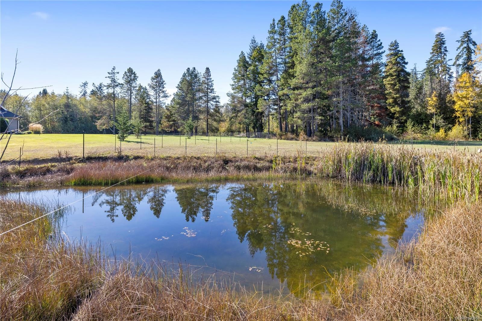 









939


Virginia

Rd,
Coombs,




BC
V0R 1M0

