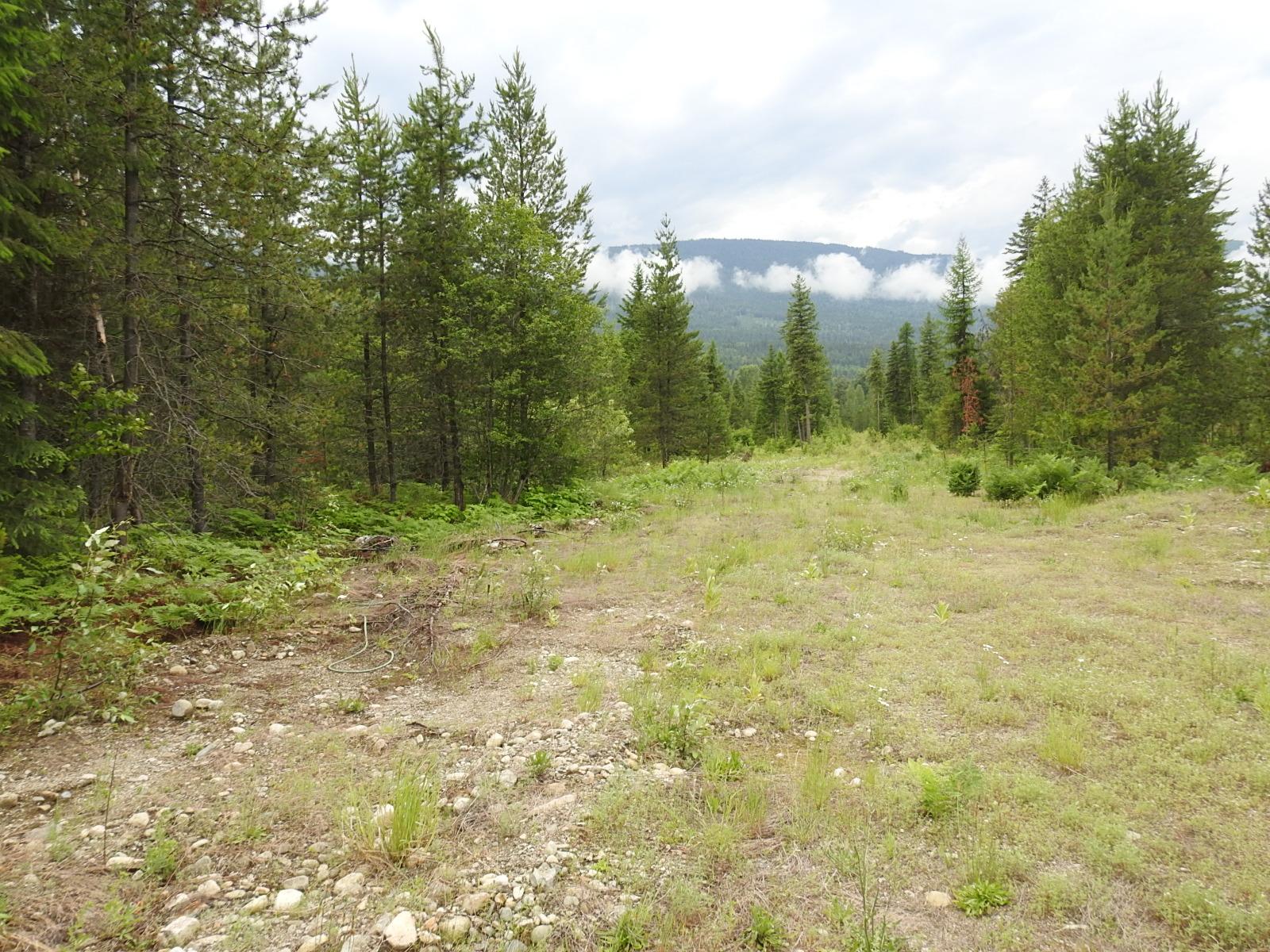 









9700


Hwy 6

,
Edgewood,







BC
V0G 1J0

