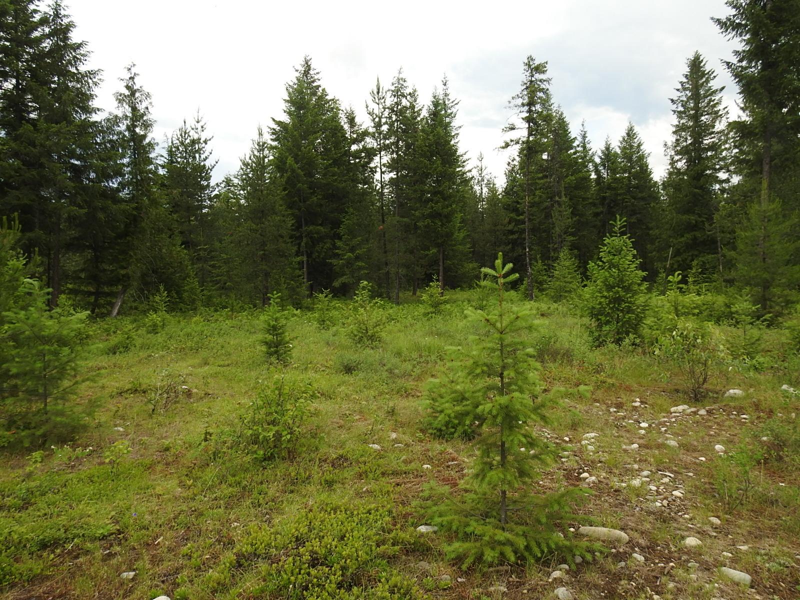 









9700


Hwy 6

,
Edgewood,







BC
V0G 1J0

