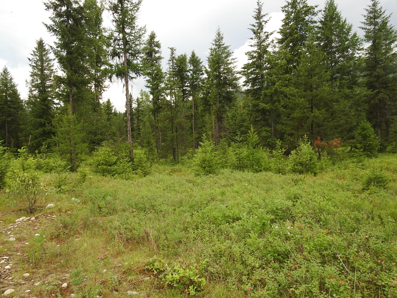 









9700


Hwy 6

,
Edgewood,







BC
V0G 1J0

