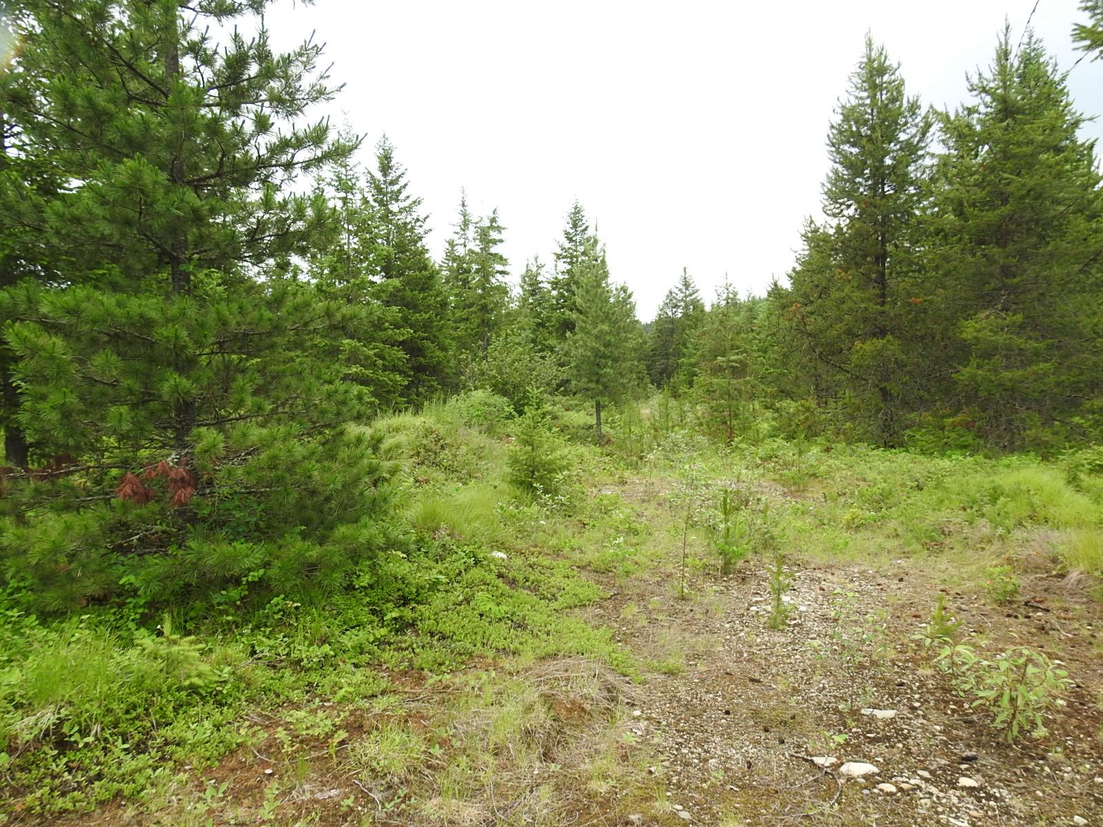 









9700


Hwy 6

,
Edgewood,







BC
V0G 1J0

