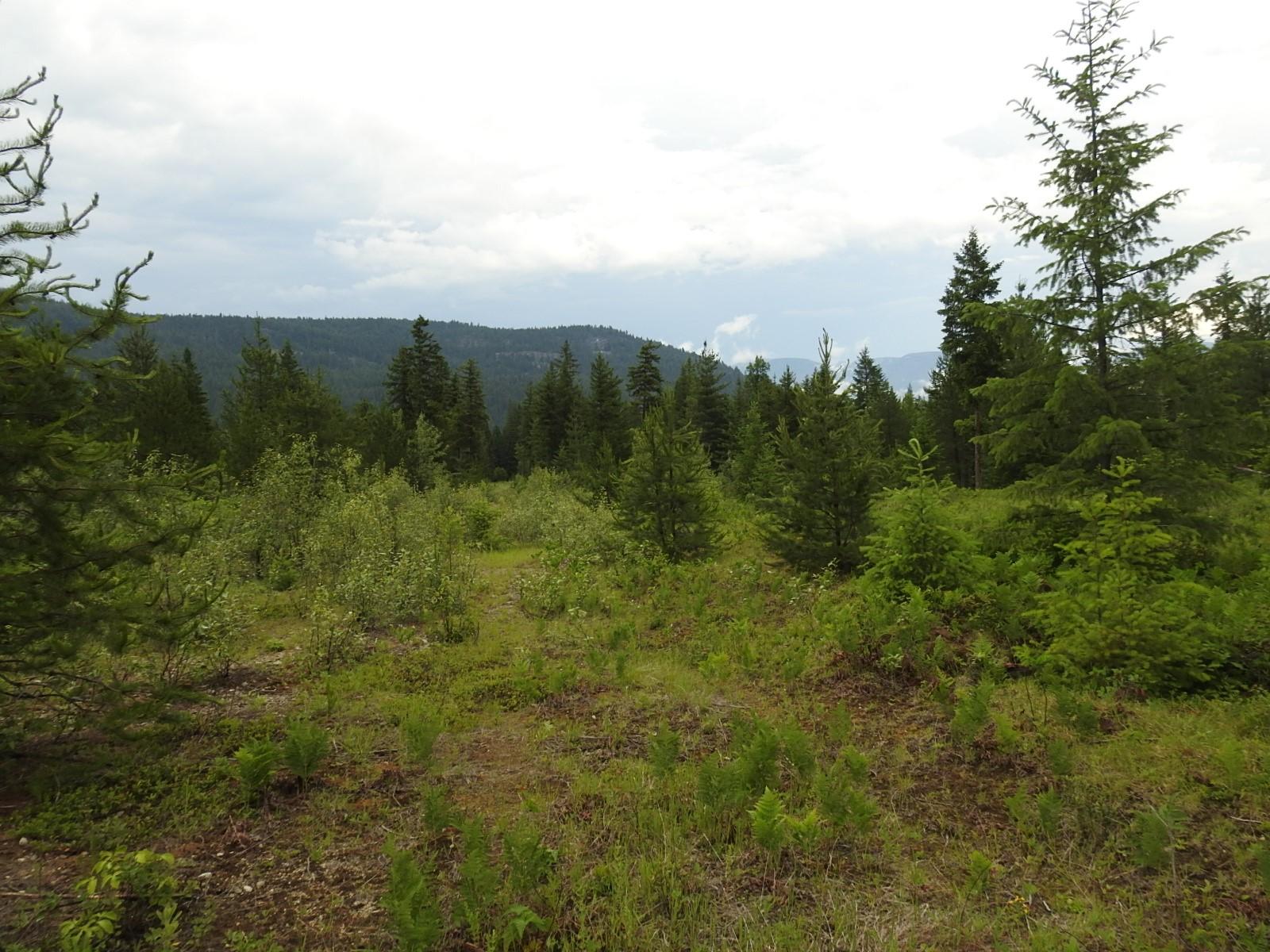 









9700


Hwy 6

,
Edgewood,







BC
V0G 1J0

