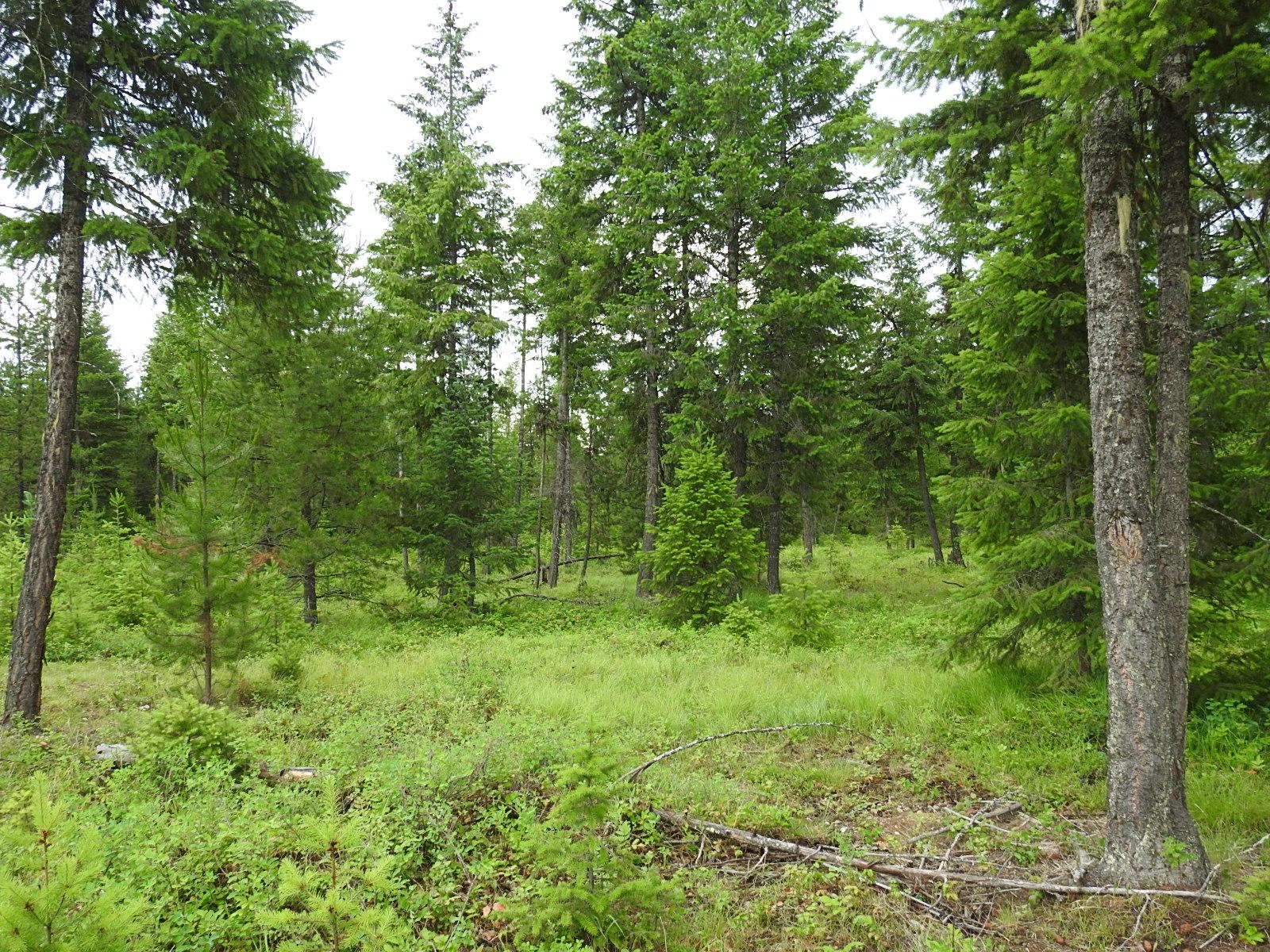 









9700


Hwy 6

,
Edgewood,







BC
V0G 1J0

