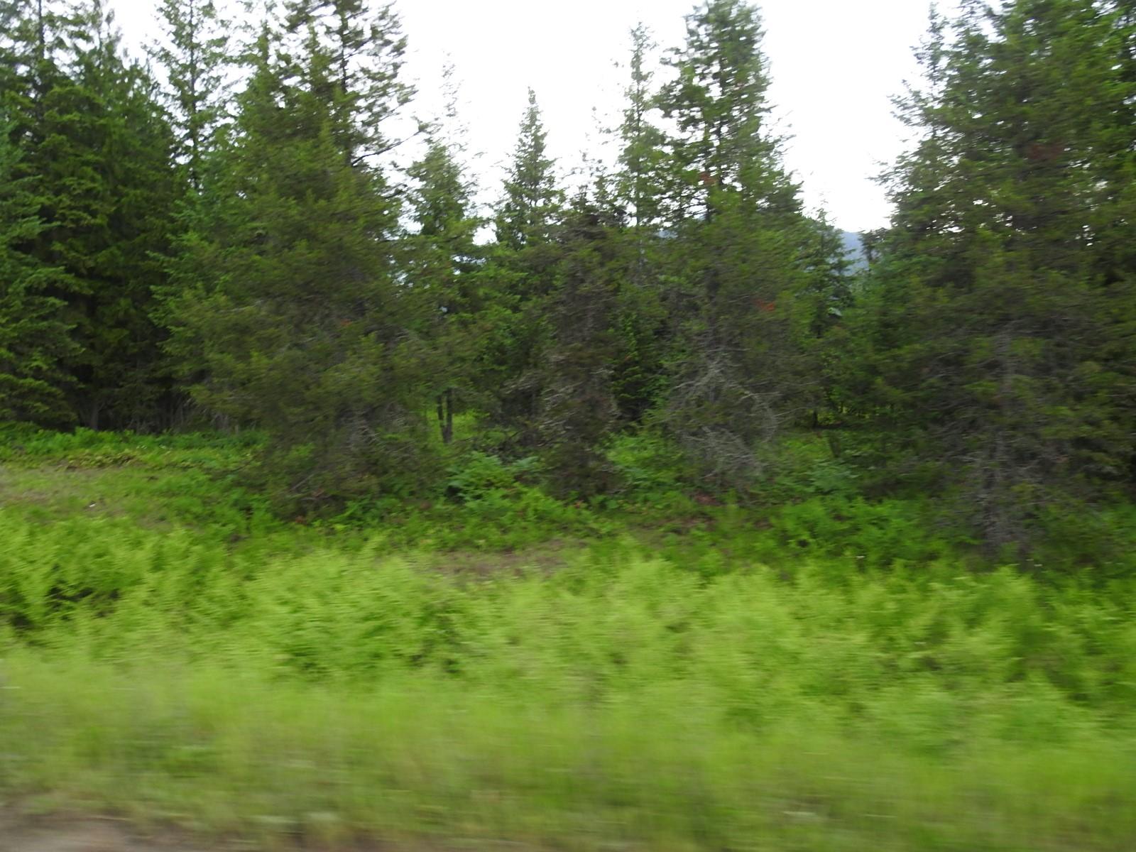 









9700


Hwy 6

,
Edgewood,







BC
V0G 1J0

