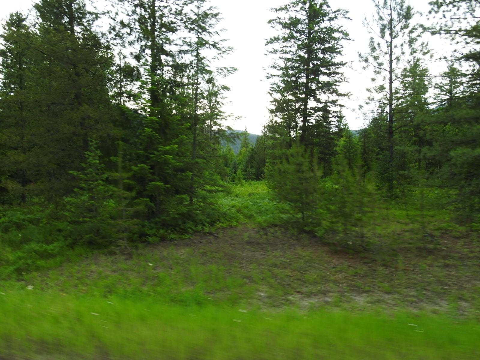 









9700


Hwy 6

,
Edgewood,







BC
V0G 1J0

