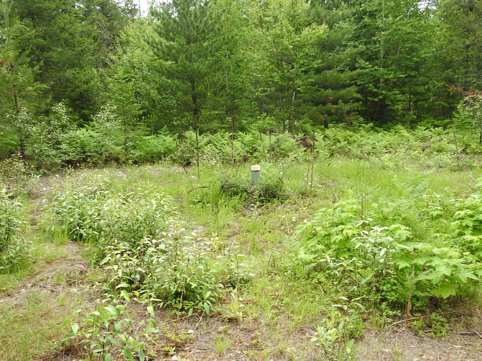 









9700


Hwy 6

,
Edgewood,







BC
V0G 1J0

