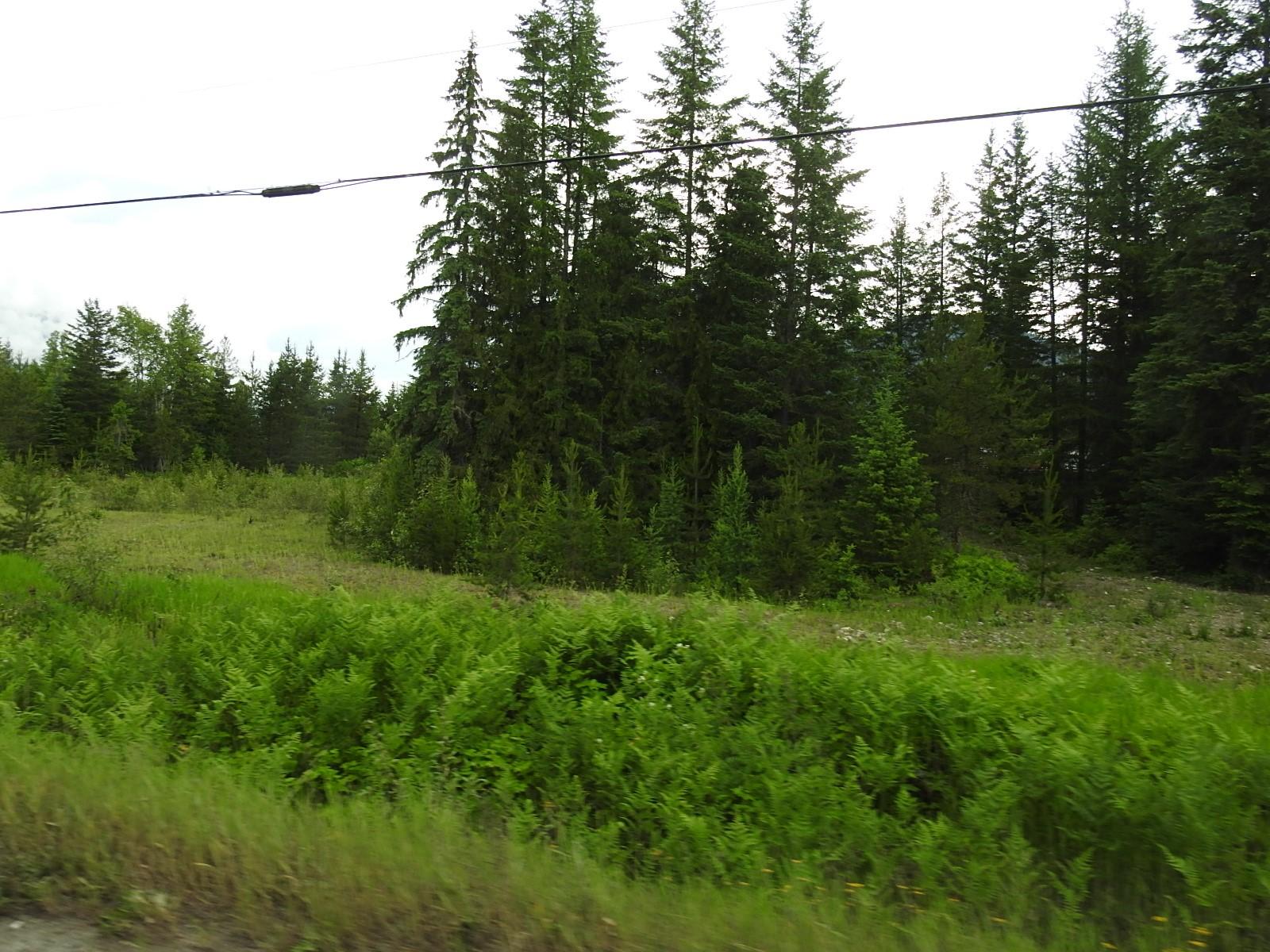 









9700


Hwy 6

,
Edgewood,







BC
V0G 1J0

