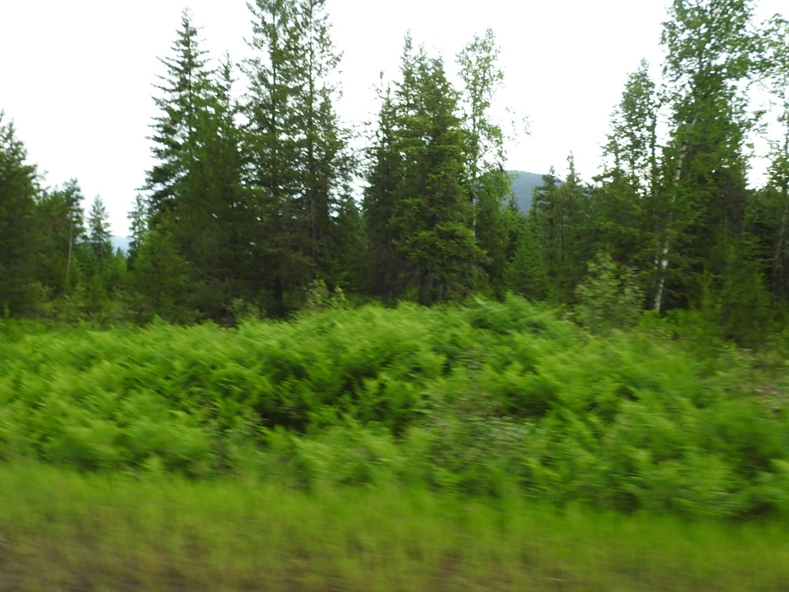 









9700


Hwy 6

,
Edgewood,







BC
V0G 1J0

