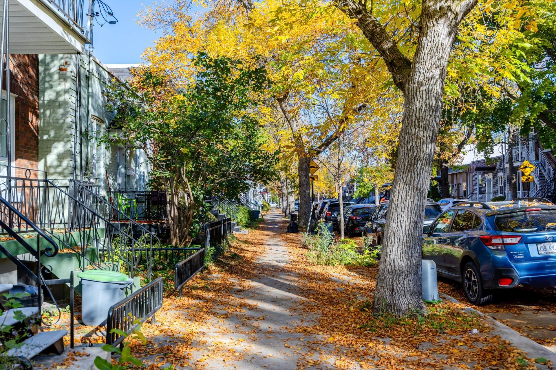 









6637

 - 6639


Rue Hurteau

,
Montréal (Le Sud-Ouest),




QC
H4E2X7

