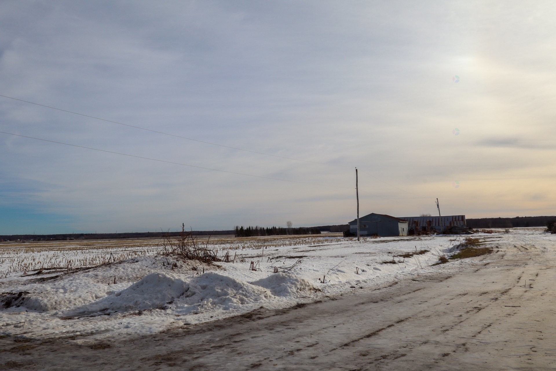 









8055


Ch. des Merisiers

,
Bécancour,




QC
G9H3J9

