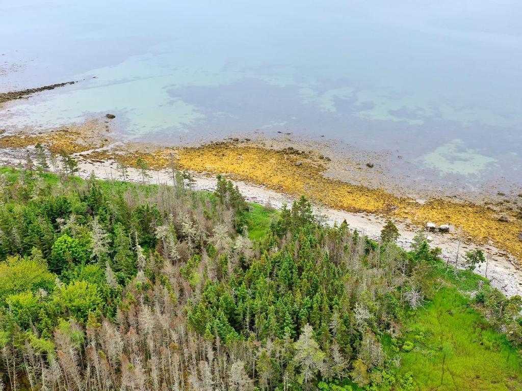 












Shore Road

,
North East Harbour,







NS
B0T 1W0

