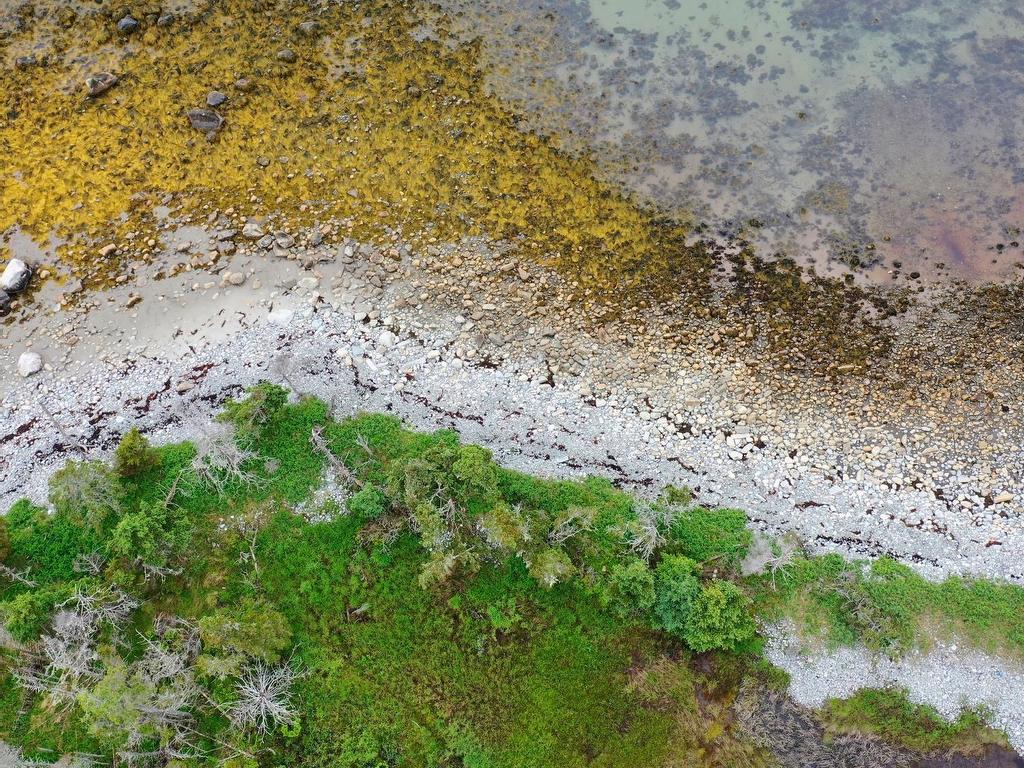 












Shore Road

,
North East Harbour,







NS
B0T 1W0

