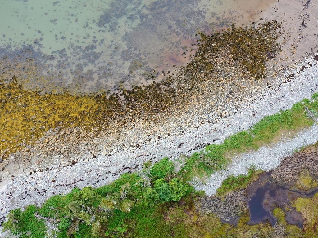 












Shore Road

,
North East Harbour,







NS
B0T 1W0

