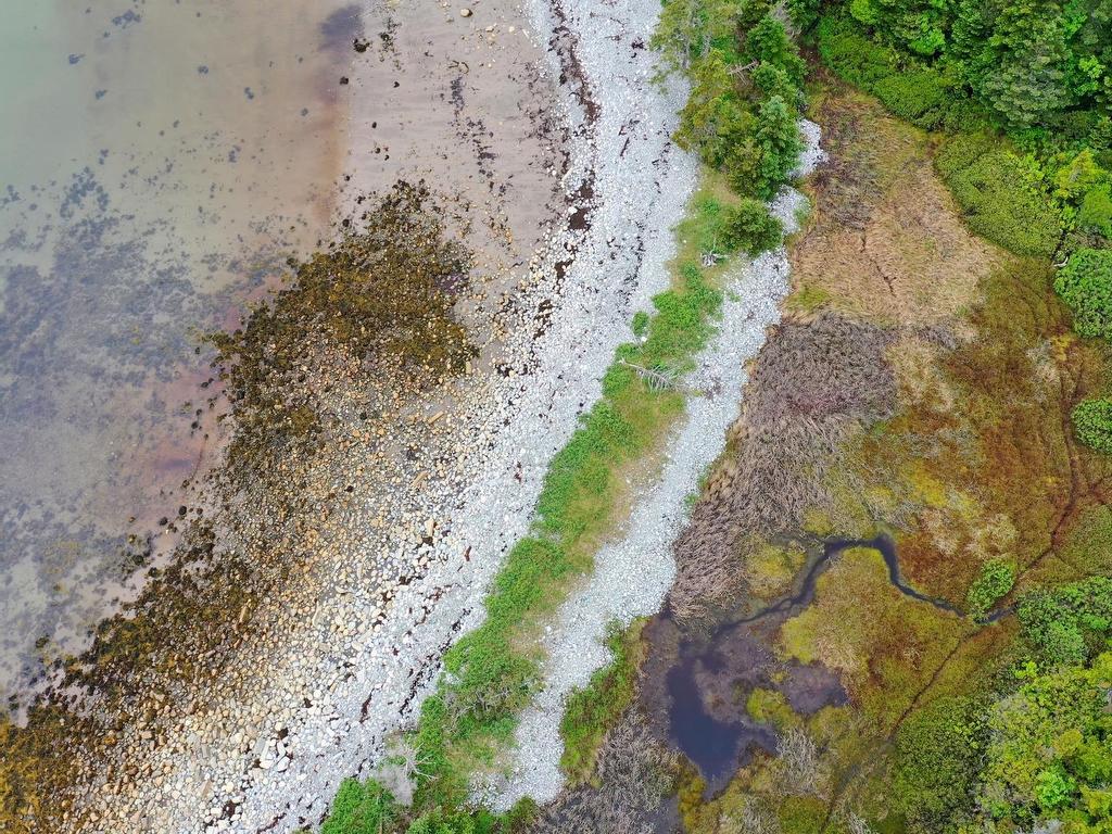 












Shore Road

,
North East Harbour,







NS
B0T 1W0

