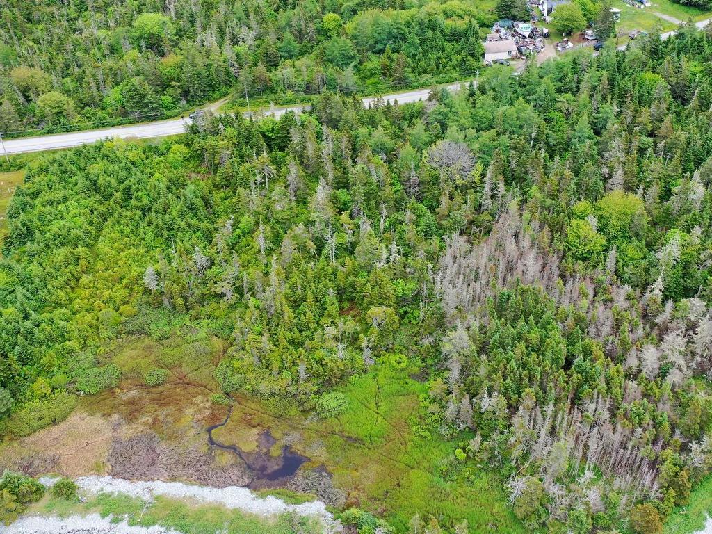 












Shore Road

,
North East Harbour,







NS
B0T 1W0

