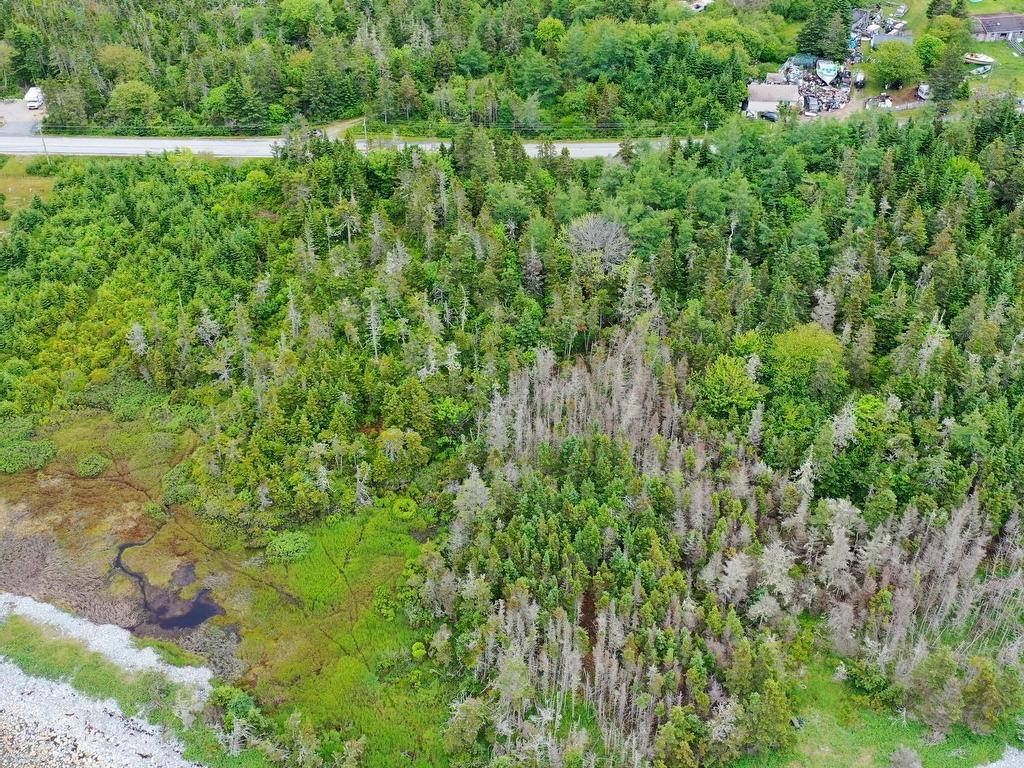 












Shore Road

,
North East Harbour,







NS
B0T 1W0


