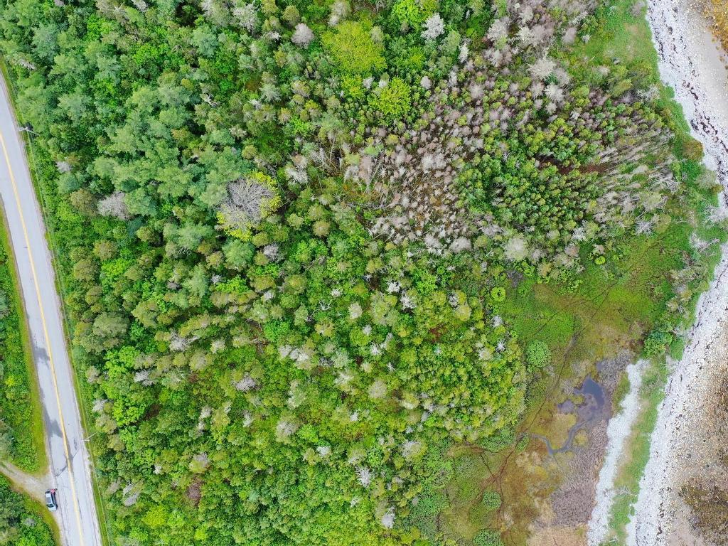 












Shore Road

,
North East Harbour,







NS
B0T 1W0

