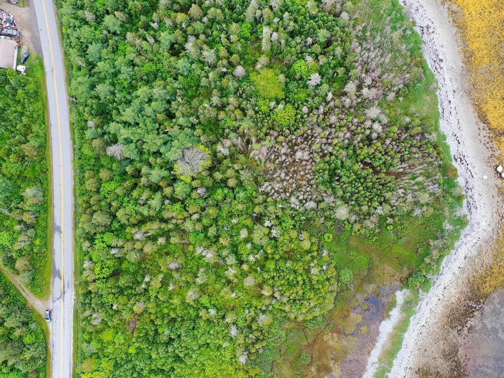 












Shore Road

,
North East Harbour,







NS
B0T 1W0

