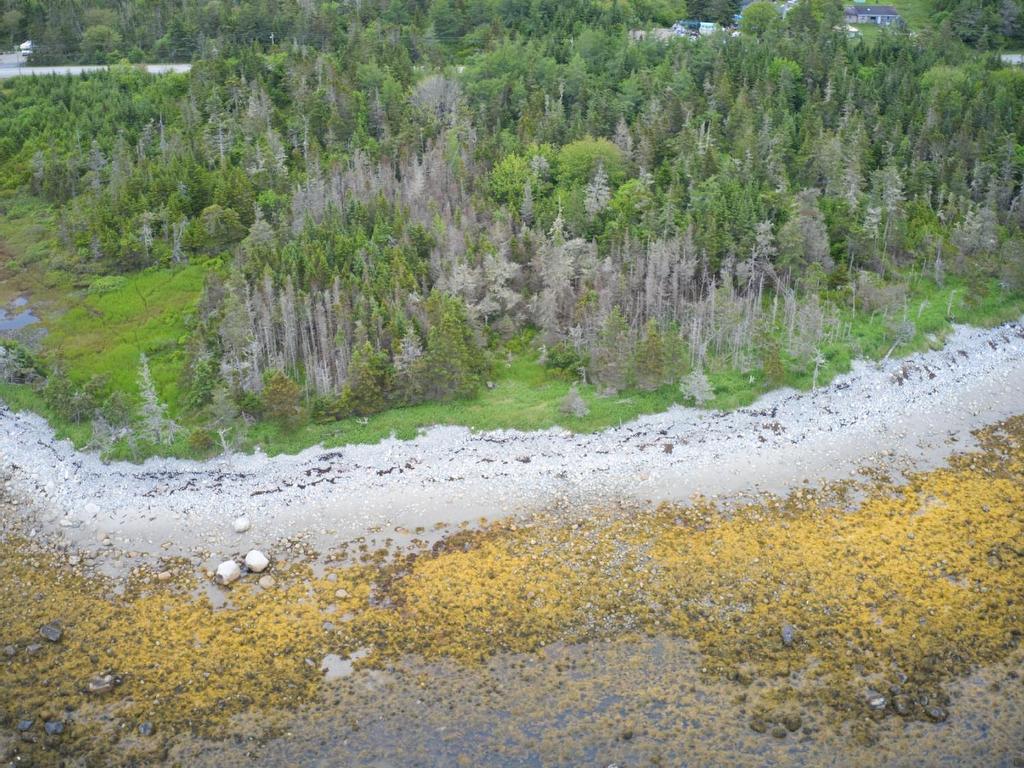 












Shore Road

,
North East Harbour,







NS
B0T 1W0

