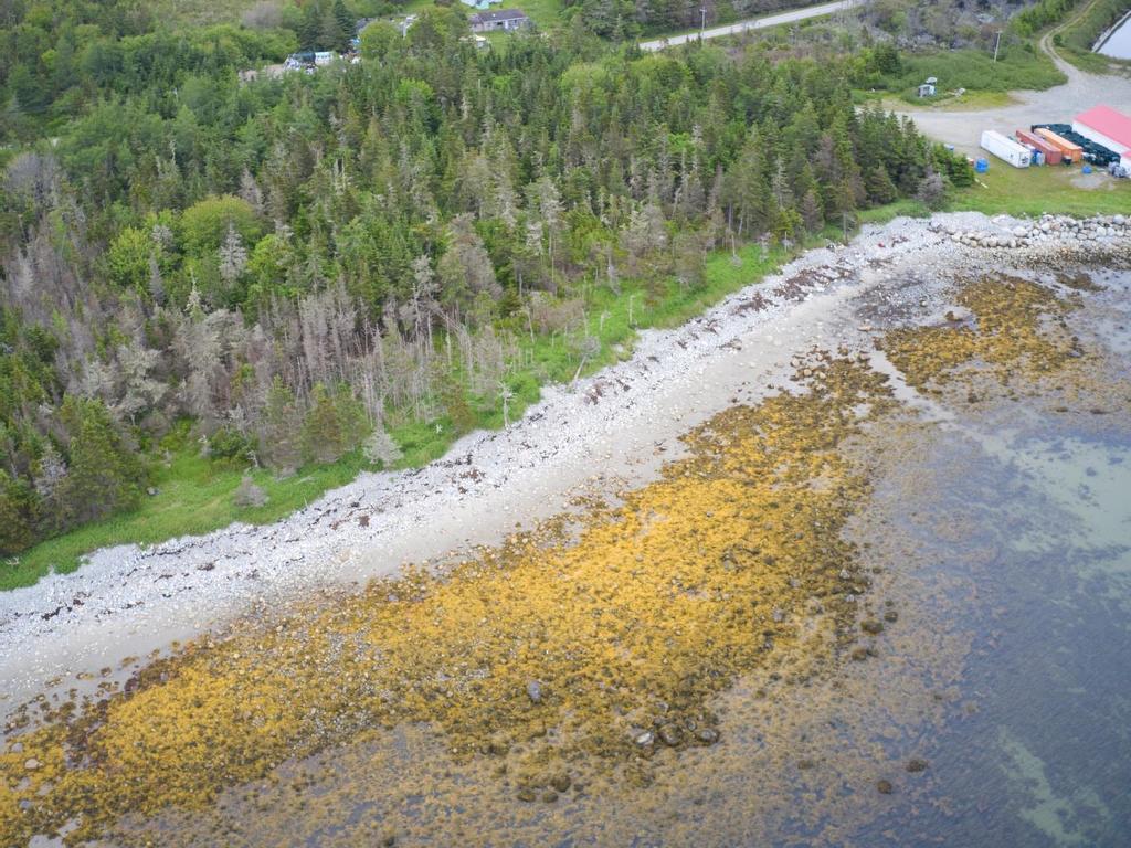 












Shore Road

,
North East Harbour,







NS
B0T 1W0

