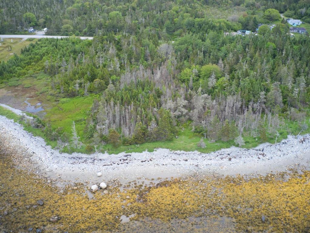 












Shore Road

,
North East Harbour,







NS
B0T 1W0

