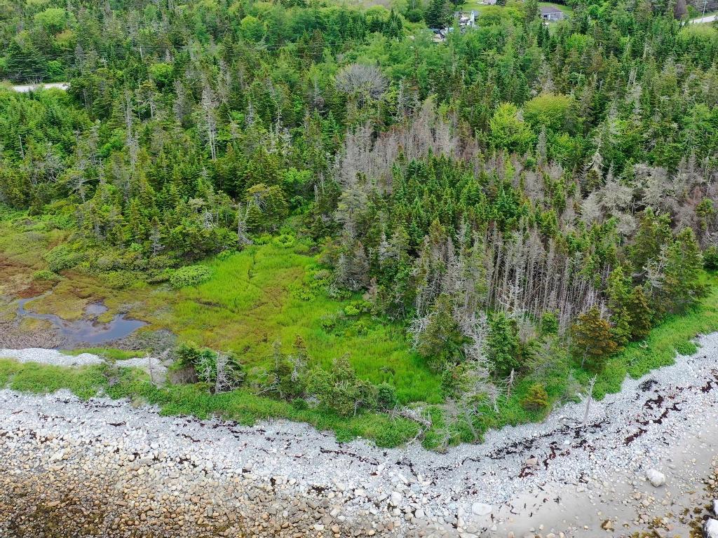 












Shore Road

,
North East Harbour,







NS
B0T 1W0

