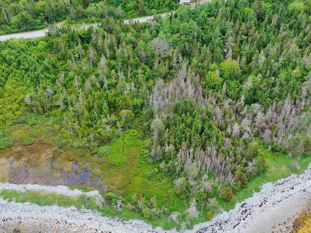 












Shore Road

,
North East Harbour,







NS
B0T 1W0

