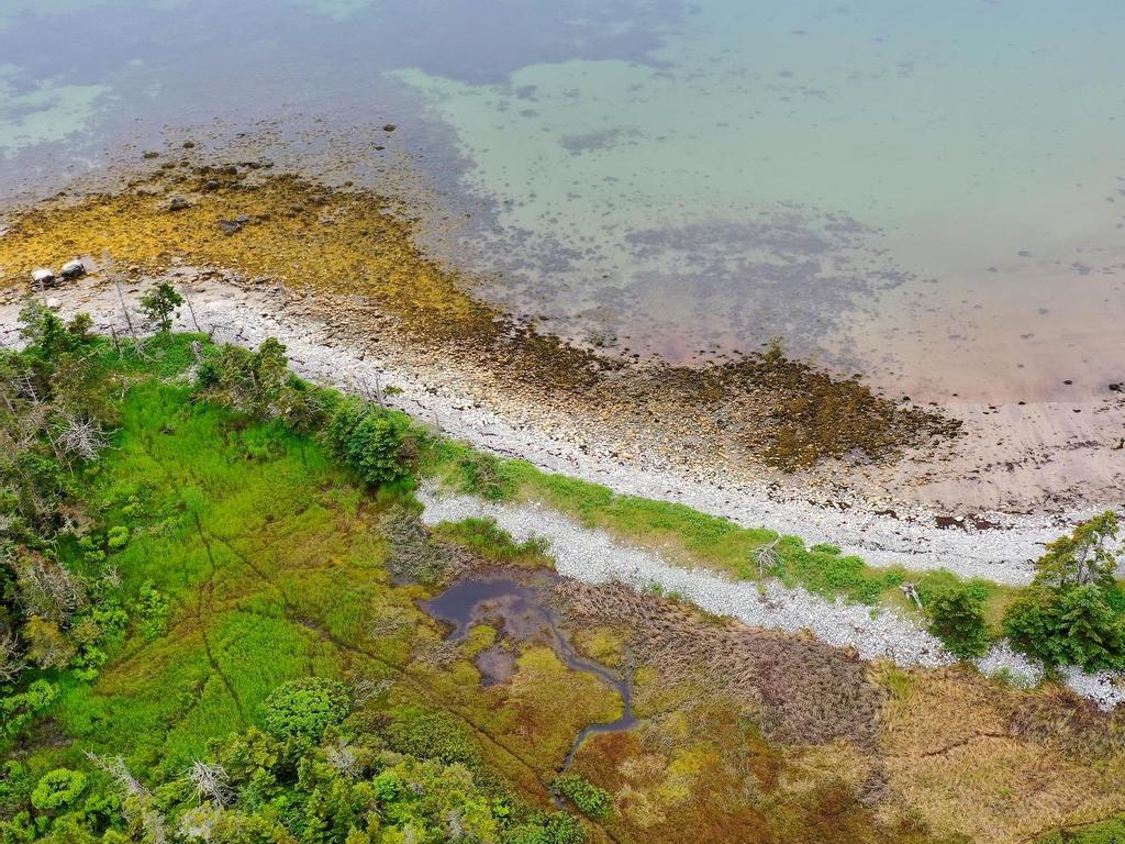 












Shore Road

,
North East Harbour,







NS
B0T 1W0

