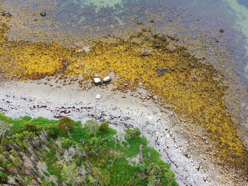 












Shore Road

,
North East Harbour,







NS
B0T 1W0

