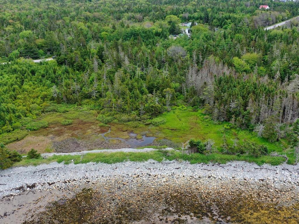 












Shore Road

,
North East Harbour,







NS
B0T 1W0

