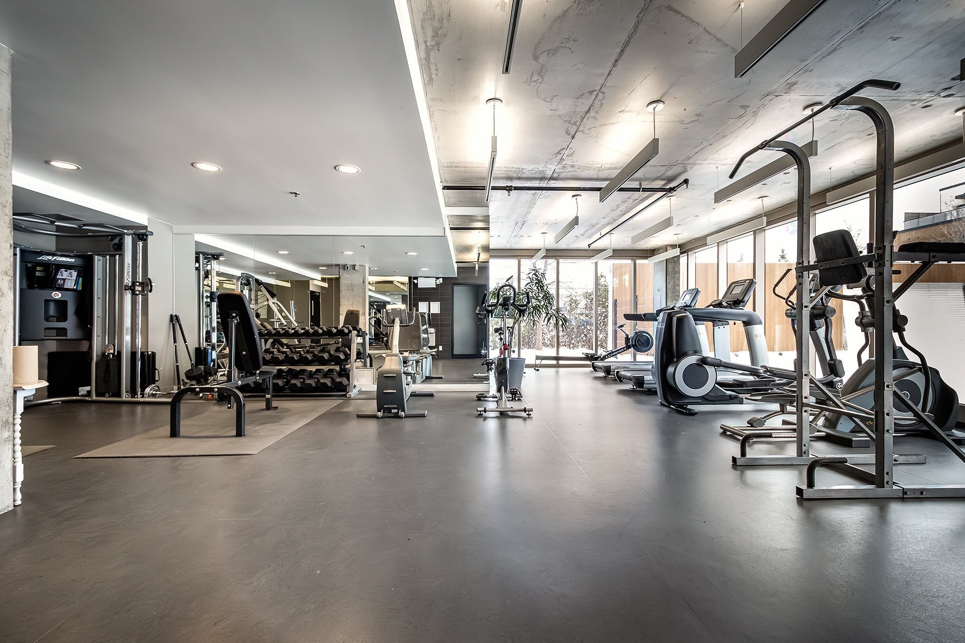 









905


Av. Plymouth

, 312,
Mont-Royal,




QC
H4P1B2

